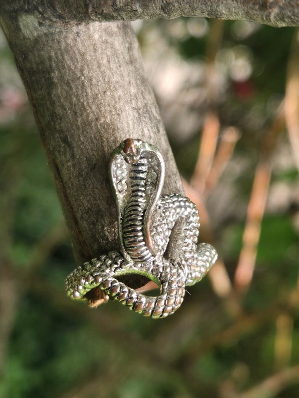 Transformation snake ring